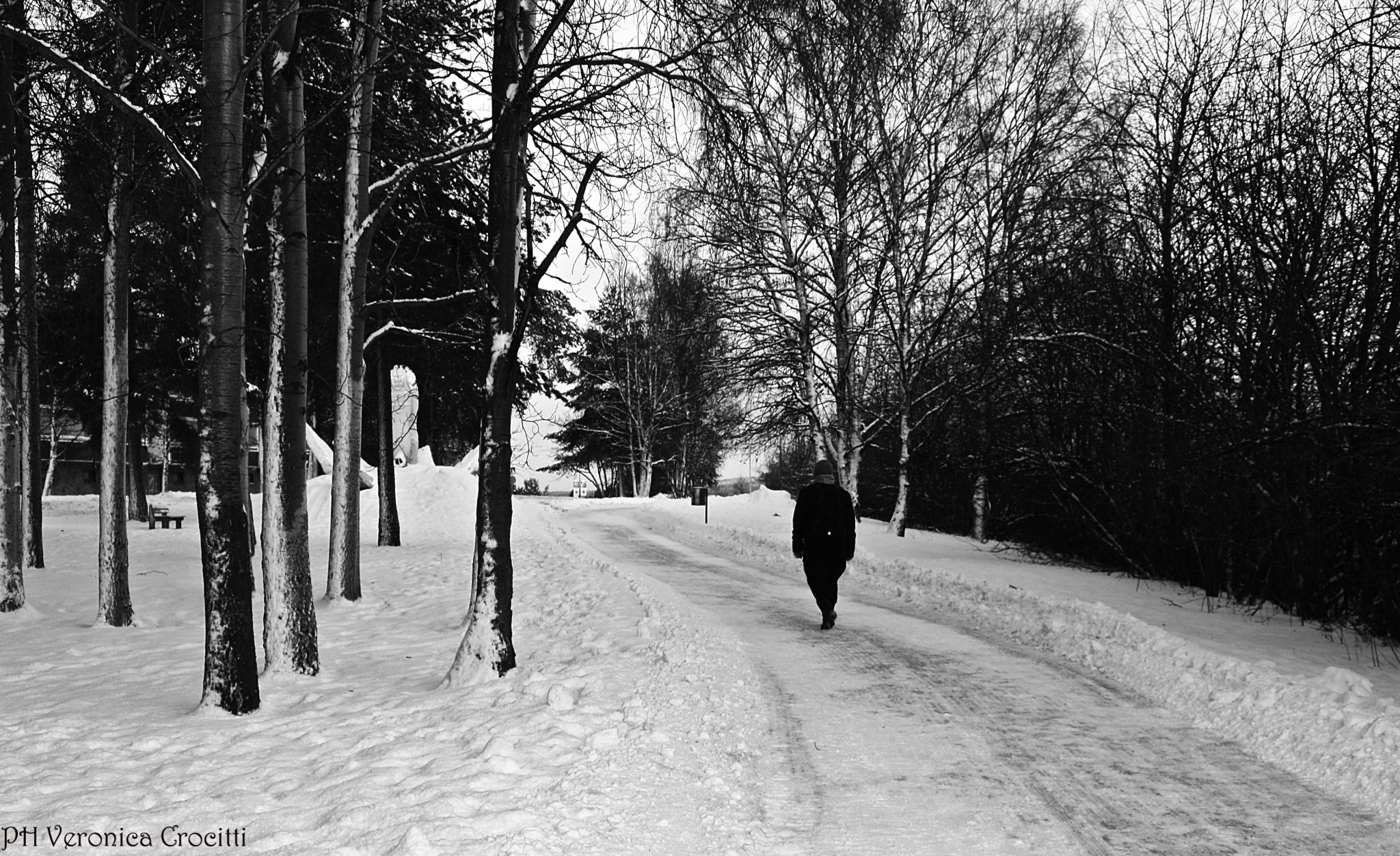 Cosa vedere a Rovaniemi, la città di Babbo Natale