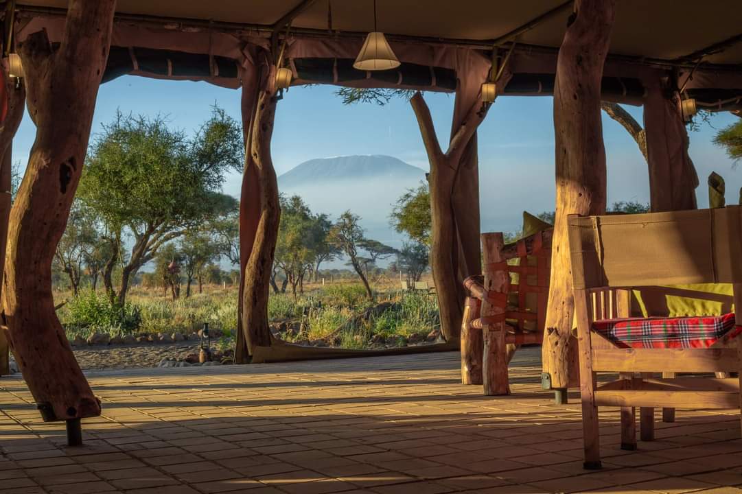 Safari in Kenya di 5 giorni