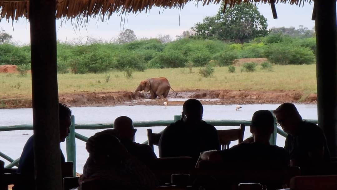 Safari in Kenya di 5 giorni